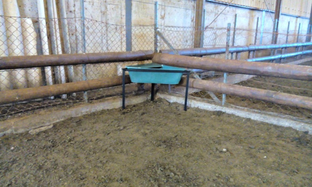 corner water trough for sheep shedding kraal or feeding lot 2