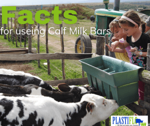 interesting facts about dairy farms in south africa